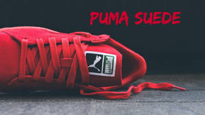 深色表面上一雙帶鞋帶的紅色Puma Suede運動鞋。