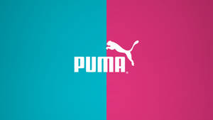 Puma品牌標誌在青綠色和洋紅色分割背景上。
