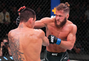 兩名男性拳手在UFC鐵籠賽中互相出拳。
