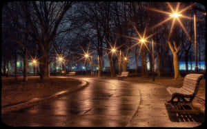 夜間公園小徑，發光的街燈和光禿禿的樹下的空長椅。