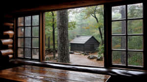 從木屋內部望向森林和另一間小屋的雨天景色。