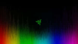 Razer 背景