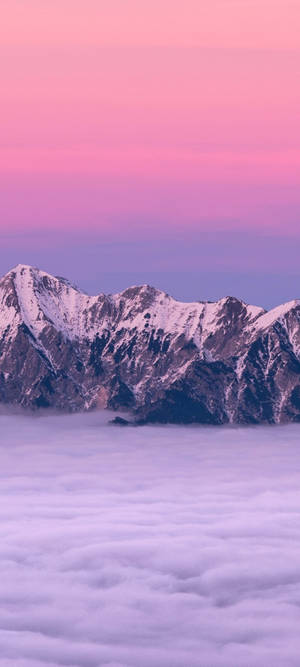 粉紅色日落中，蓬鬆雲朵之上的積雪山脈