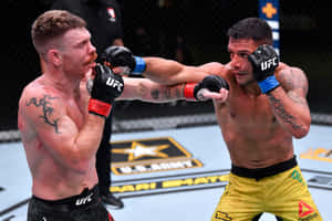 兩名男性拳手在UFC比賽中於八角籠內互換拳擊。