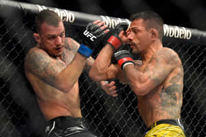 兩名男性MMA拳手在籠中比賽時互相出拳。
