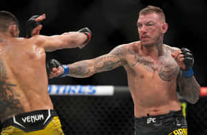 兩名男性MMA拳手在八角籠中比賽時互相出拳。