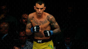 八角籠內穿著UFC裝備的紋身MMA拳手。