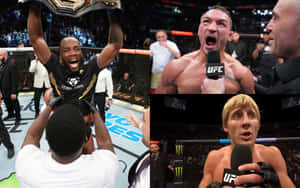 UFC 拳手在八角籠內慶祝勝利並與媒體交談。