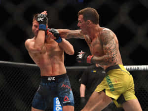 兩名MMA拳手在血跡斑斑的籠中比賽中互相出拳。