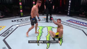 兩名MMA拳手在UFC八角籠中，一人站在另一人上方於墊上。