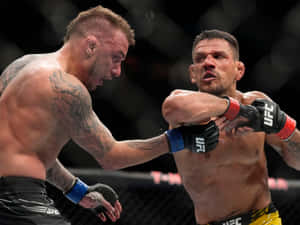 兩名戴著MMA手套的男性拳手在八角籠內互相出拳。