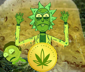 瑞克和莫蒂卡通角色被大麻植物和金幣包圍。