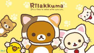 Rilakkuma和朋友們穿著貓咪服裝，在黃色爪印背景上。