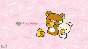 三個Rilakkuma角色在粉紅色圖案背景上享用糕點。