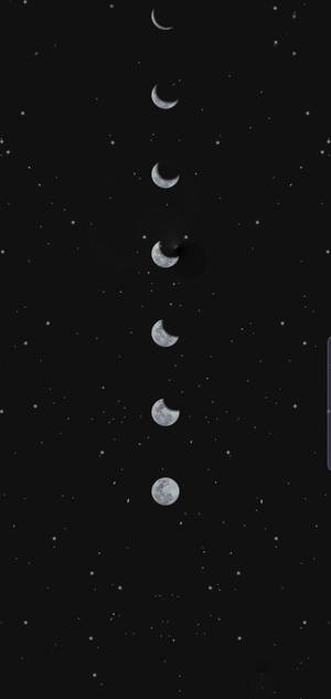 從新月到滿月的月相以垂直序列顯示，背景是星空夜空。