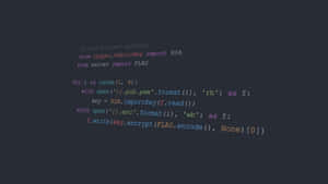 在深色背景上顯示的RSA加密語法高亮Python代碼。