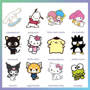 十二個Sanrio角色（如Hello Kitty和My Melody）在網格中帶有名字。