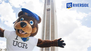UC Riverside 熊吉祥物在校園鐘樓前揮手。