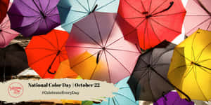 為慶祝National Color Day而飄浮在頭頂的彩色雨傘。 — 形容詞 GIF 壁紙