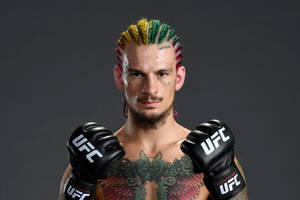 UFC拳手，彩色辮子和胸口紋身，戴著手套
