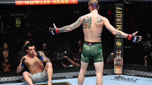 UFC戰士在八角籠中站立勝利，擊敗對手。 — 電腦 GIF 壁紙