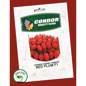Condor Quality Seeds 的雜交櫻桃番茄紅李 F1 種子包裝。 — 1:1 壁紙