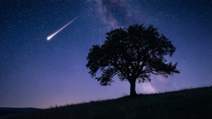 星空下山丘上的一棵孤樹與流星