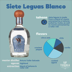 詳細說明Siete Leguas Blanco龍舌蘭酒瓶、風味和生產方法的資訊圖表。
