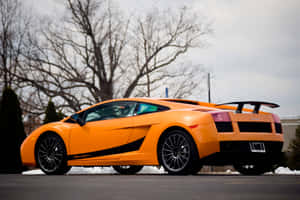 橙色林寶堅尼 Gallardo Superleggera 在戶外停泊，周圍有積雪和光禿禿的樹木。 — Surface Pro 壁紙