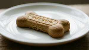 一塊棕色骨頭形狀的狗零食放在白色碟上。