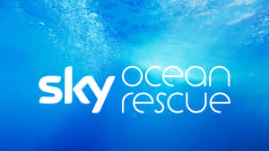 Sky Ocean Rescue 標誌在水底，氣泡向光線上升。