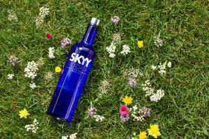 藍色Skyy伏特加酒瓶被草地上的野花環繞。