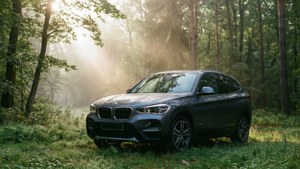 灰色BMW SUV停放在霧氣森林中，陽光穿過樹木。