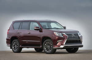 栗色Lexus GX SUV在工作室環境中，光線乾淨，背景灰色。 — Surface Pro 壁紙