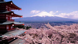 日本雪覆富士山壁紙
