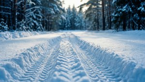 雪跡引領穿過冬季寂靜的雪林