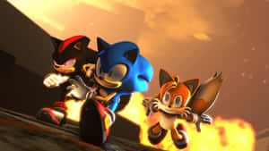 Sonic Shadow 與 Tails 在熾熱的夕陽下飛馳，帶有動態模糊。 — 超音鼠 壁紙