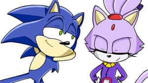 Sonic the Hedgehog 同一個紫色貓角色一齊企，表情充滿自信。 — 超音鼠 壁紙