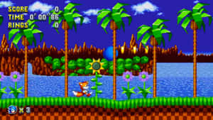 Sonic the Hedgehog 喺一個有棕櫚樹同水嘅像素化叢林遊戲場景中奔跑。 — 超音鼠 壁紙