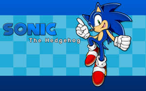 Sonic the Hedgehog 角色以奔跑姿勢站在藍色格仔背景上。