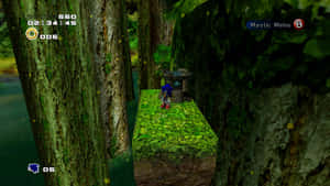 Sonic the Hedgehog 喺一個有青苔平台同巨大樹木嘅叢林遊戲關卡入面。 — 超音鼠 壁紙
