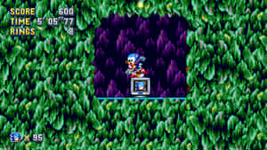 Sonic the Hedgehog 在像素化叢林關卡中奔跑，遊戲統計數據可見。 — 超音鼠 壁紙