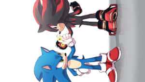 Sonic 和 Shadow 在白色牆壁前以對峙的動漫姿勢。 — 超音鼠 壁紙