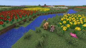 Minecraft田野入面嘅兩隻貓，有河同色彩繽紛嘅花