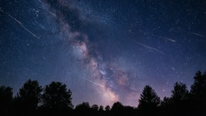 銀河系在繁星點點的夜空下，拱形跨越黑暗樹木的剪影。