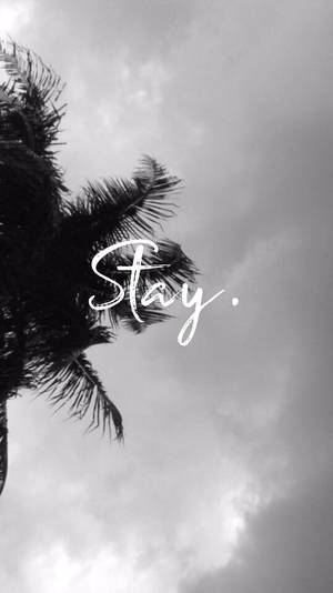 棕櫚樹剪影，帶有「Stay.」文字，背景多雲的天空 — 棕櫚樹 GIF 壁紙