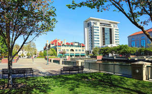城市公園，有綠色草地、長椅、樹木和現代建築，在清澈的藍天下。