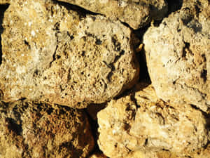 陽光照射下的粗糙石牆特寫，大地色調