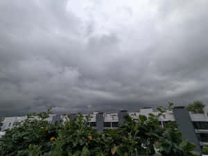 現代建築上空的黑暗暴風雲，綠色植物和黃色花朵