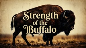 一頭野牛站在田野中，文字為 Strength of the Buffalo